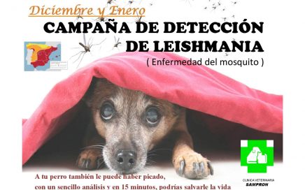 clinicaveterinariasampron.es - campaña de detección de leishmania